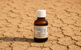 Cyperus For Dry, Rough Texture