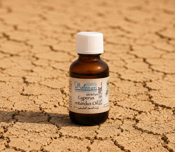 Cyperus For Dry, Rough Texture