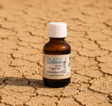 Cyperus For Dry, Rough Texture
