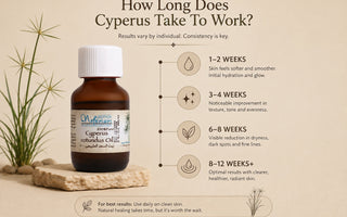 How Long Does Cyperus Take To Work?