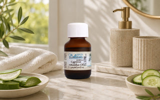 Cyperus For Underarm Care