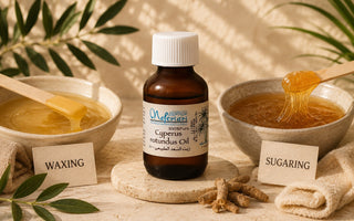 Cyperus After Sugaring vs Waxing