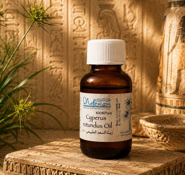 What Is Cyperus Rotundus Oil?