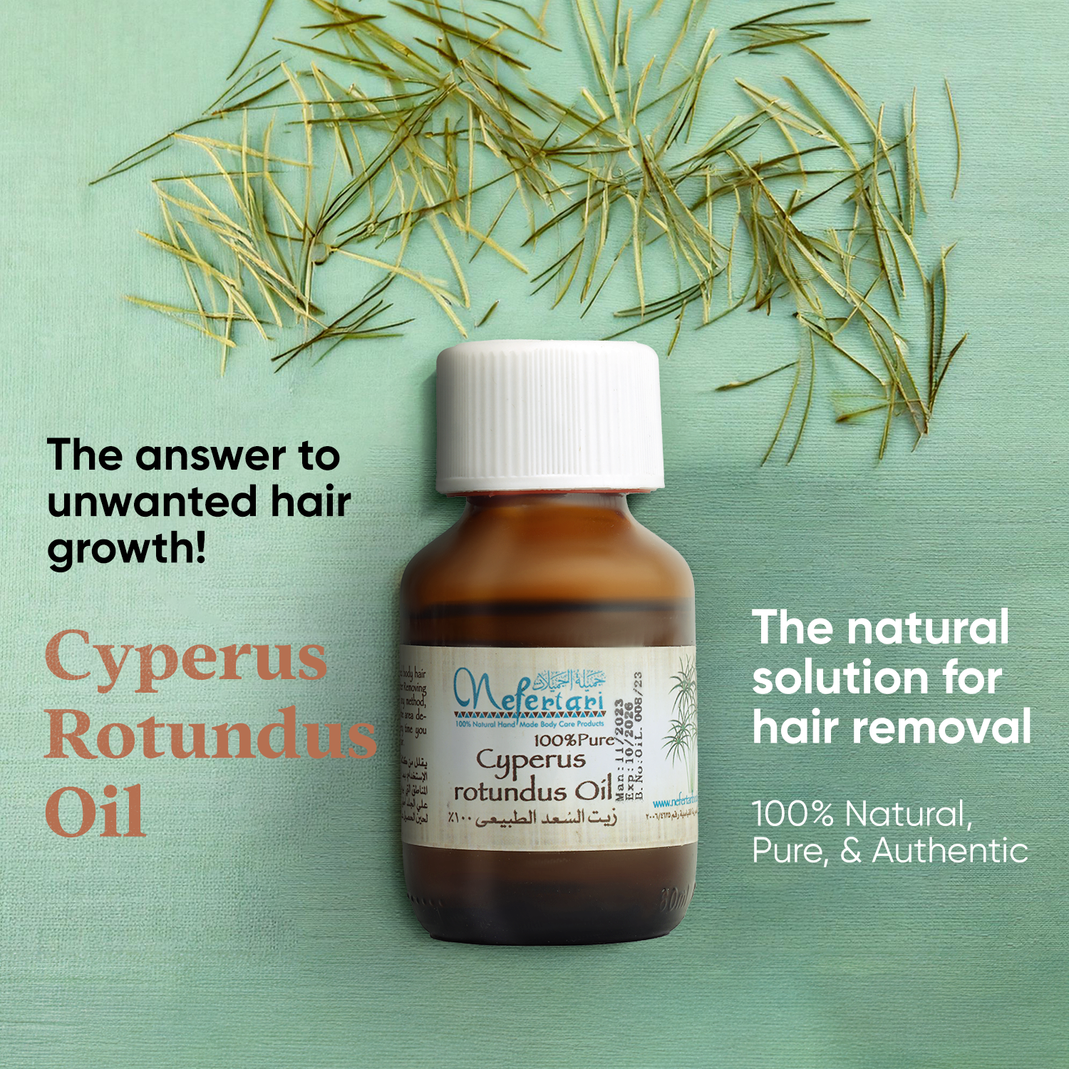 Cyperus Rotundus Oil
